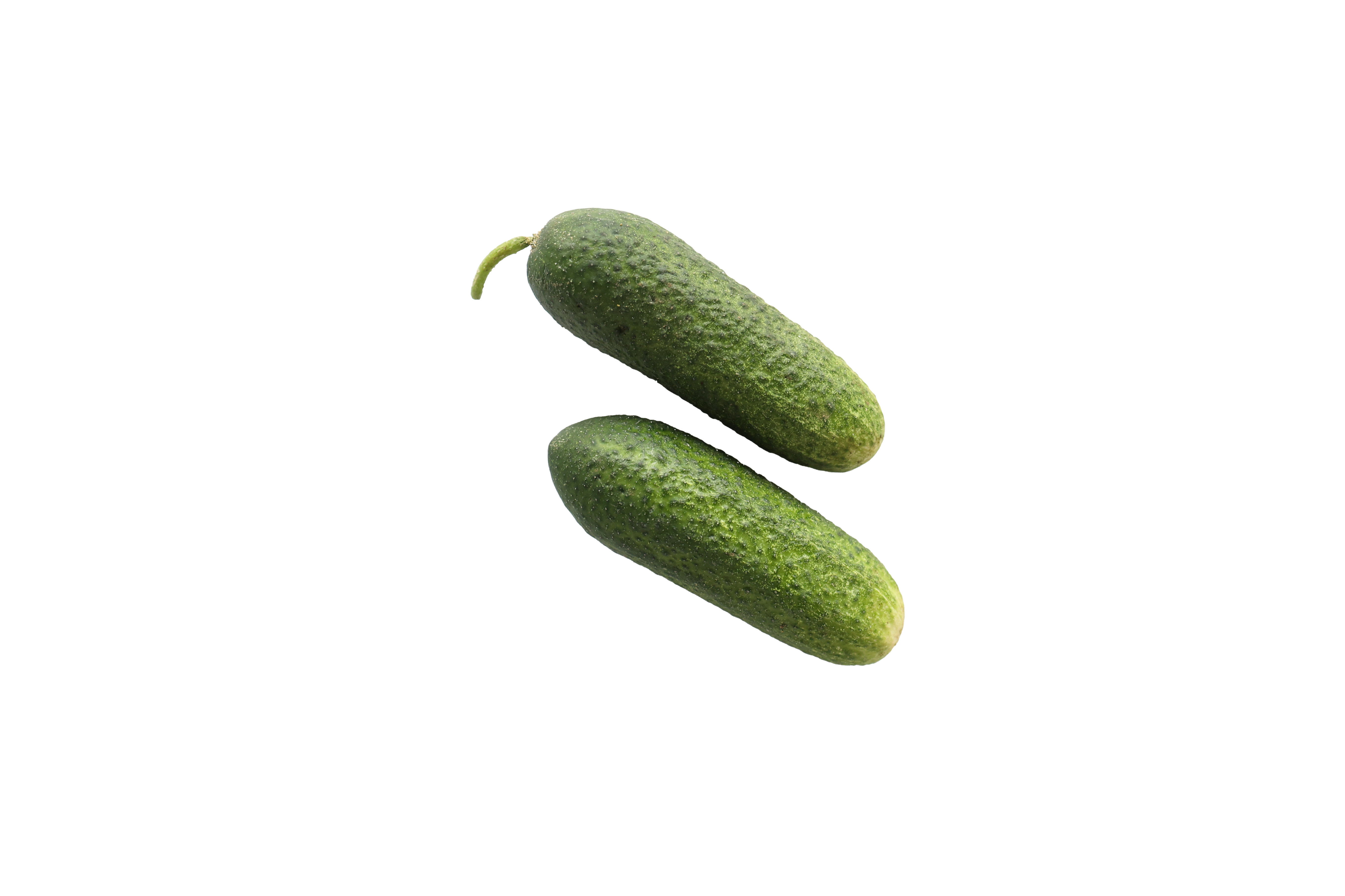 Ättiksgurka