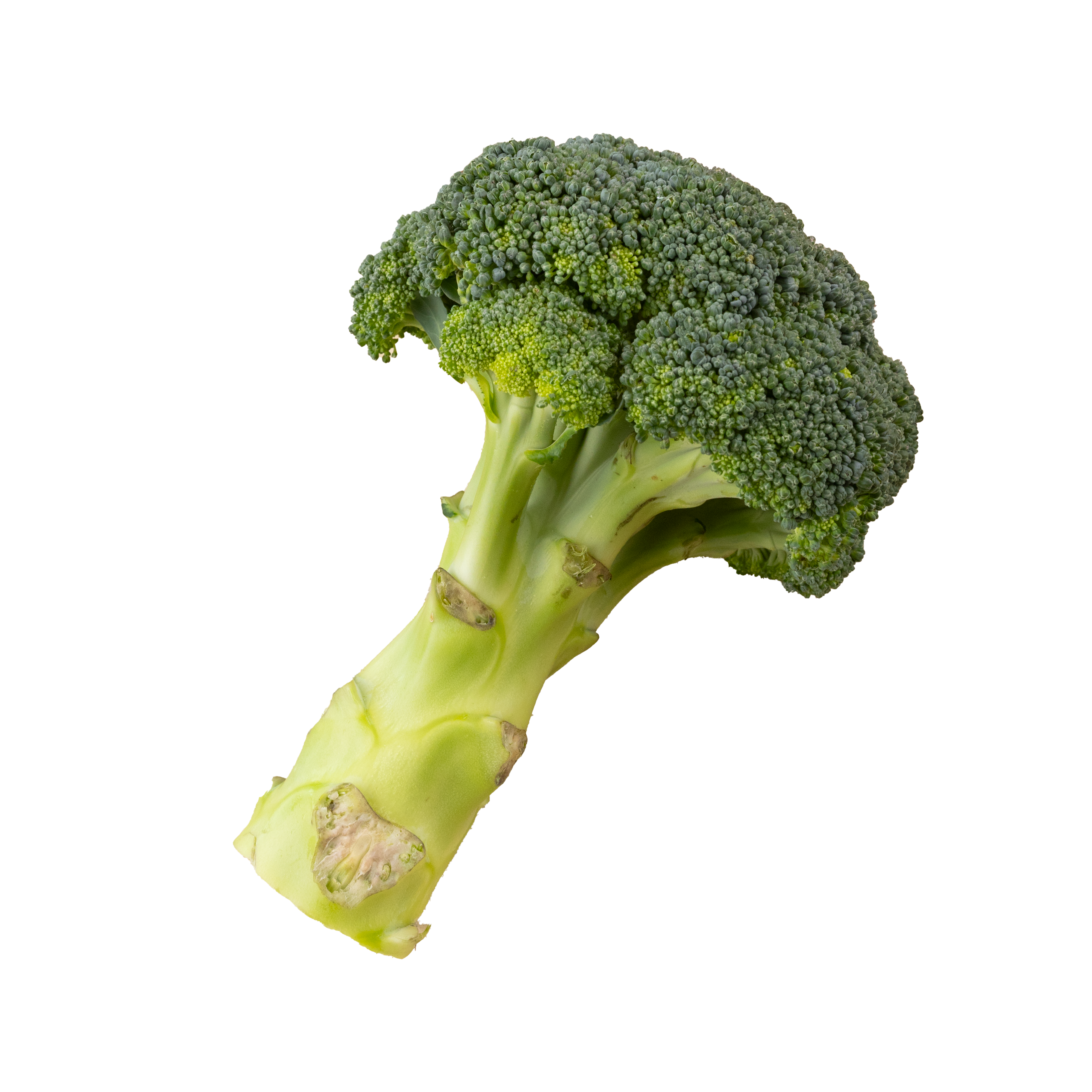 Broccoli frilagd bild