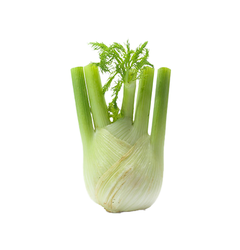 Fänkål frilagd bild