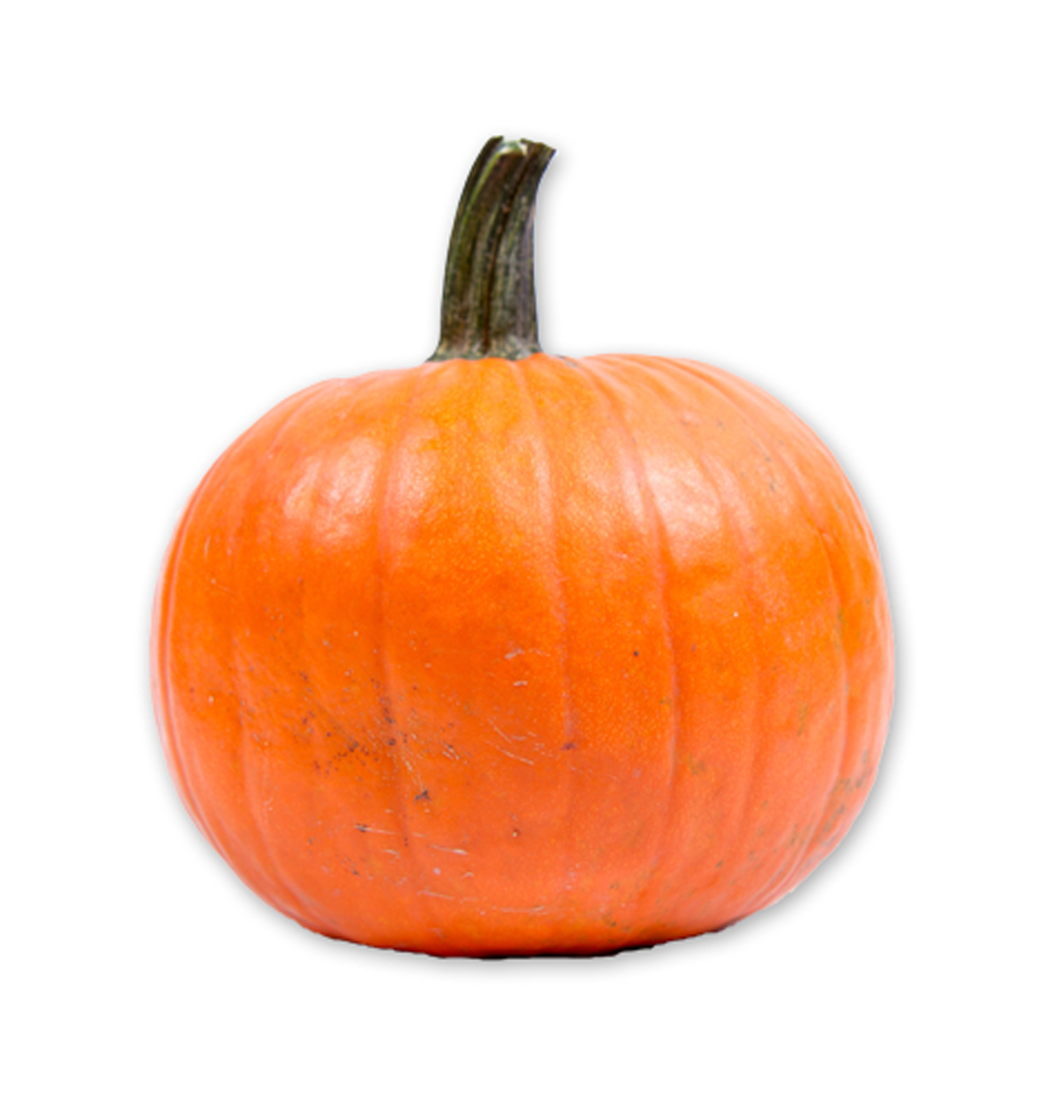 Halloweenpumpa frilagd bild