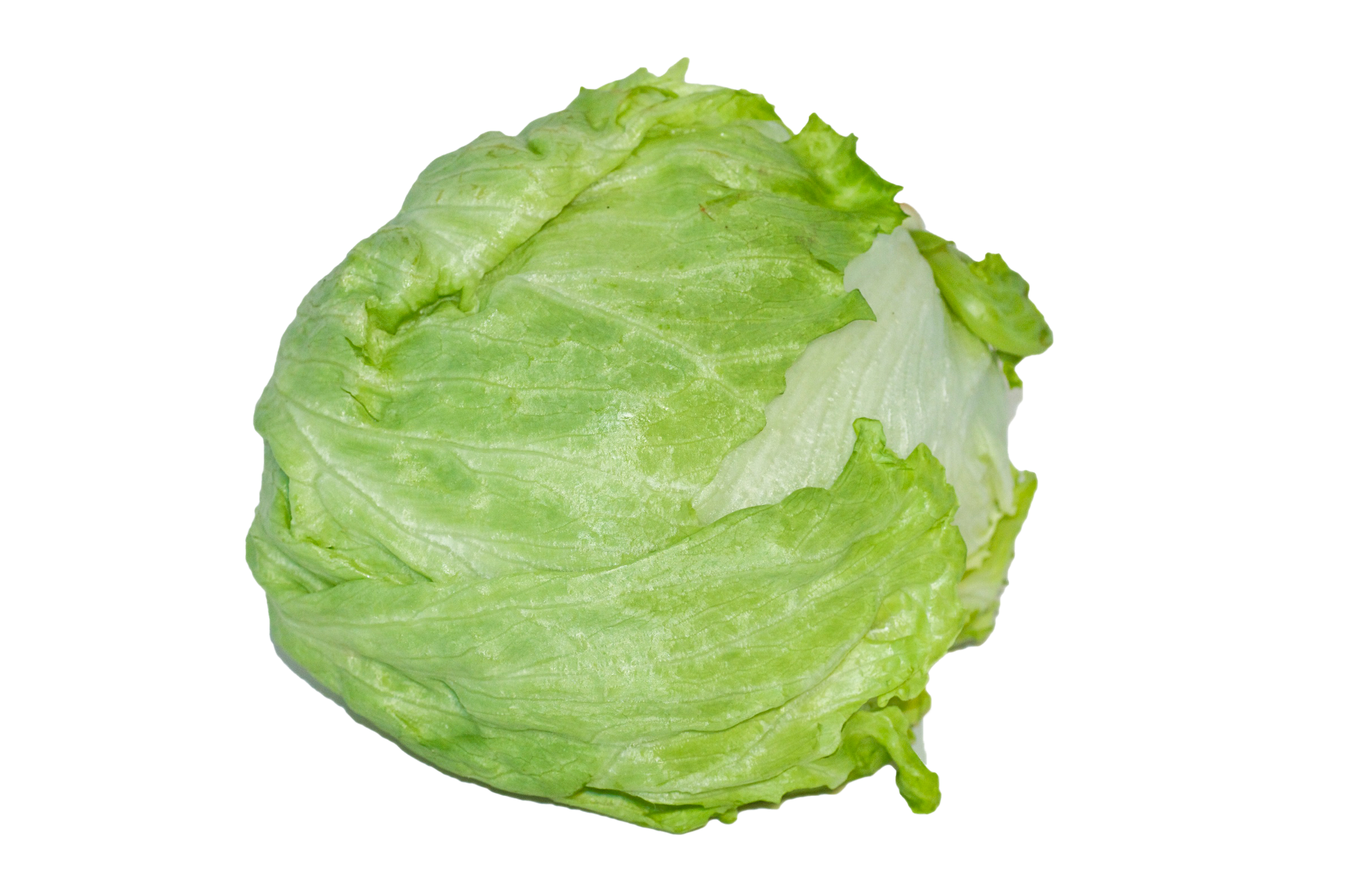 Isbergsallat frilagd bild