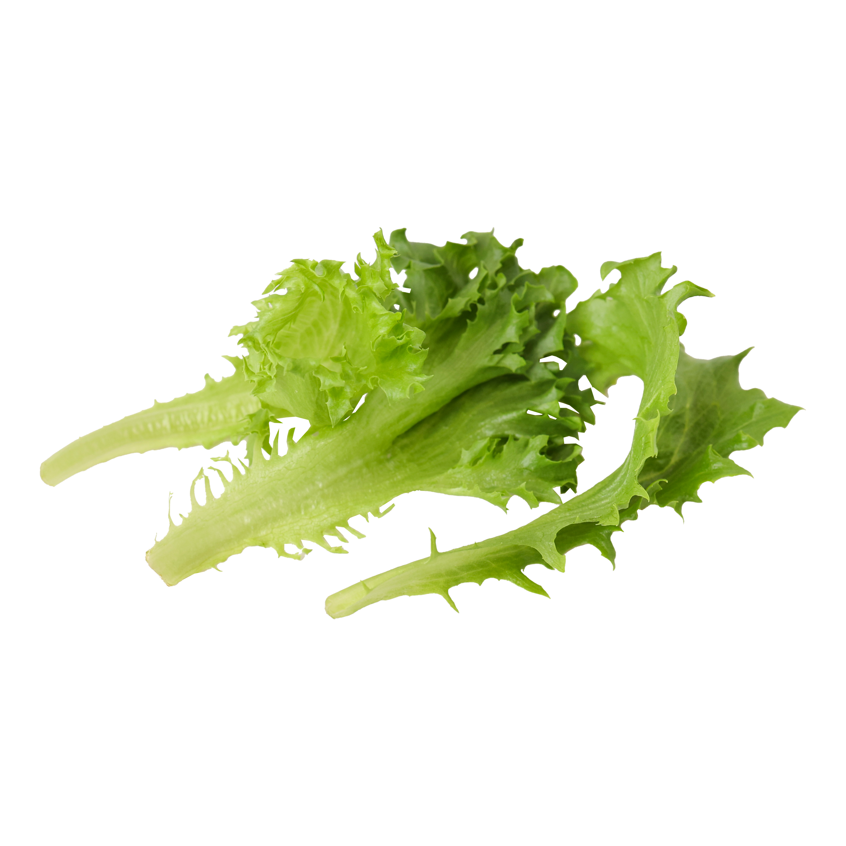 Nordic Crisp Sallat frilagd bild