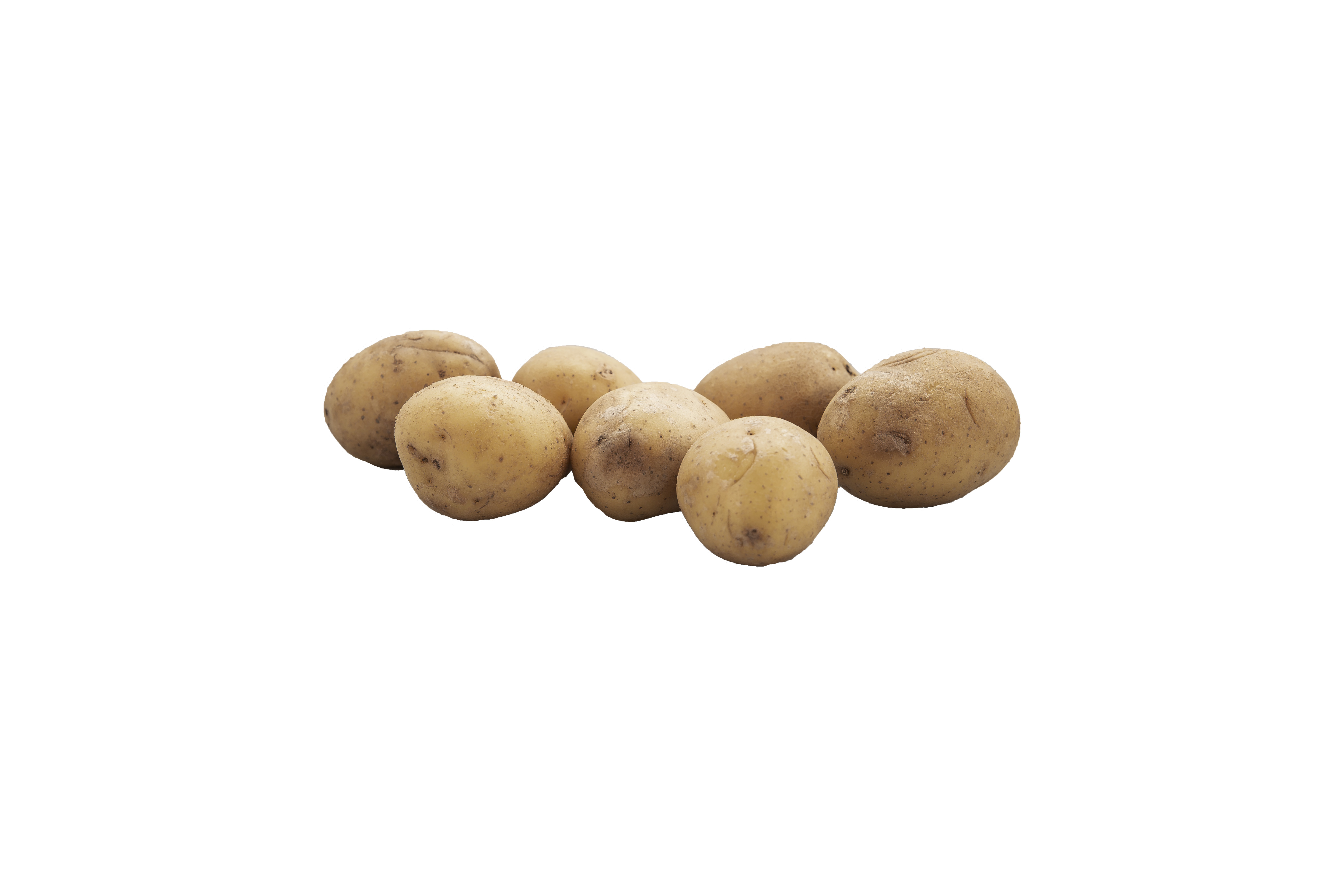 Färsk potatis frilagd bild