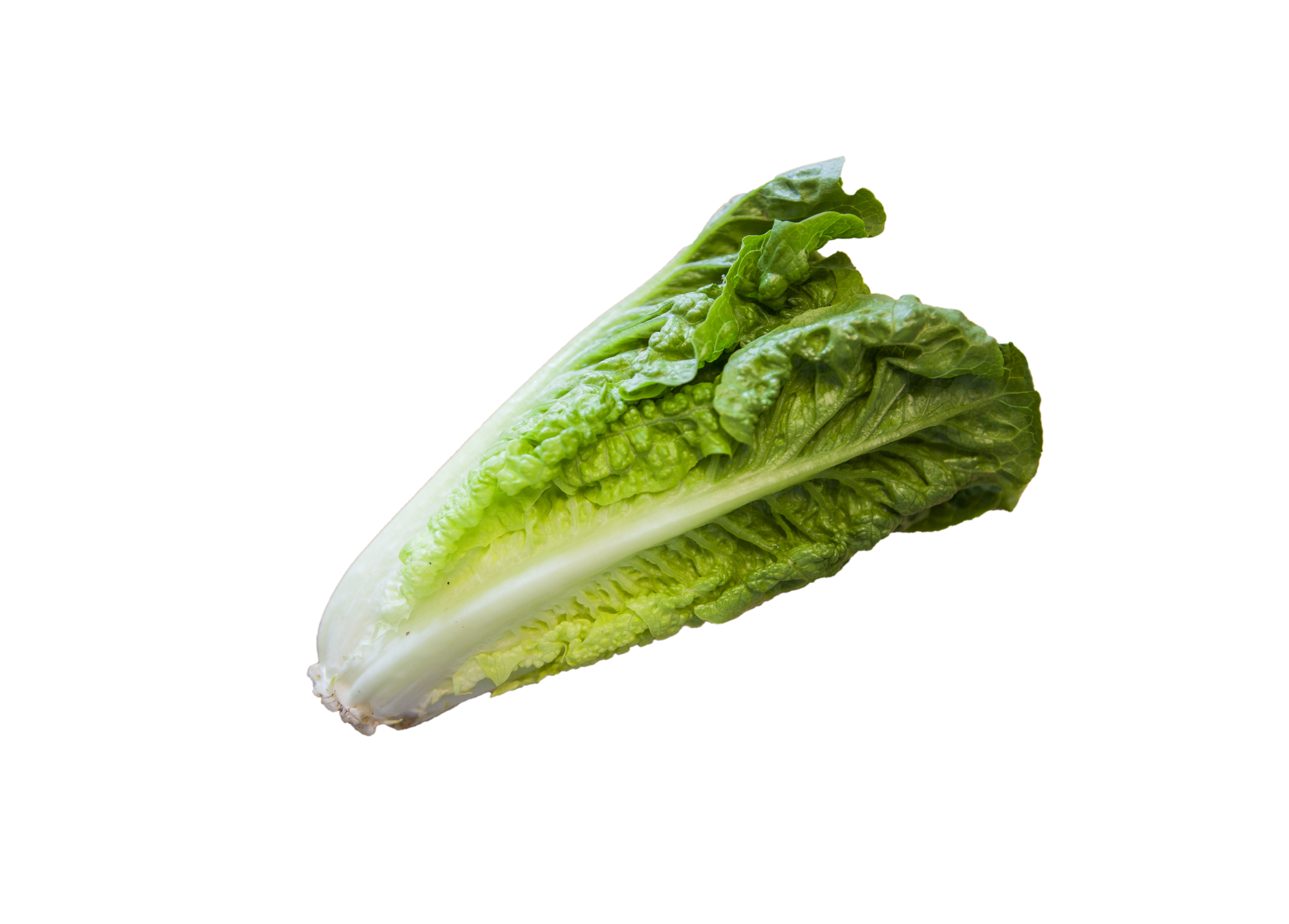 Romansallat frilagd bild