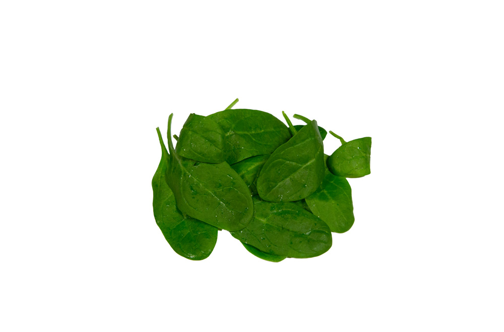 Småblad Spenat Baby