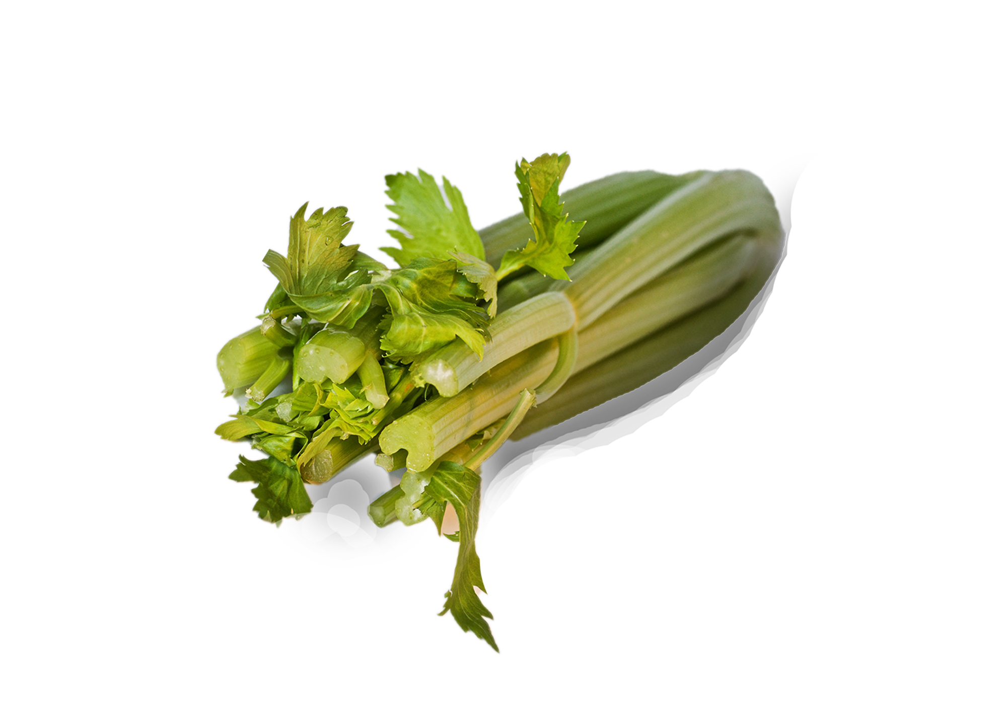 Stjälkselleri frilagd bild