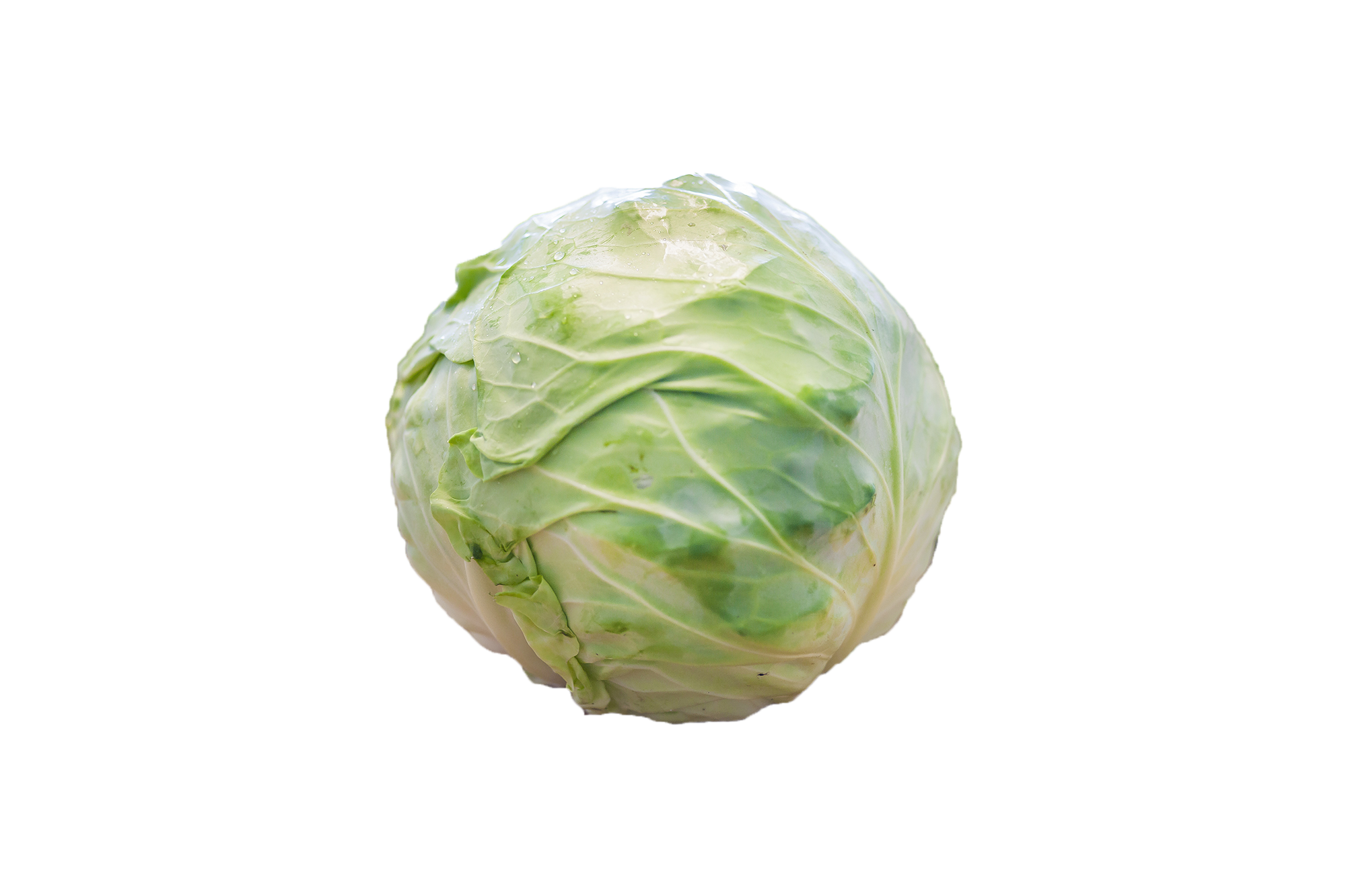 Vitkål frilagd bild