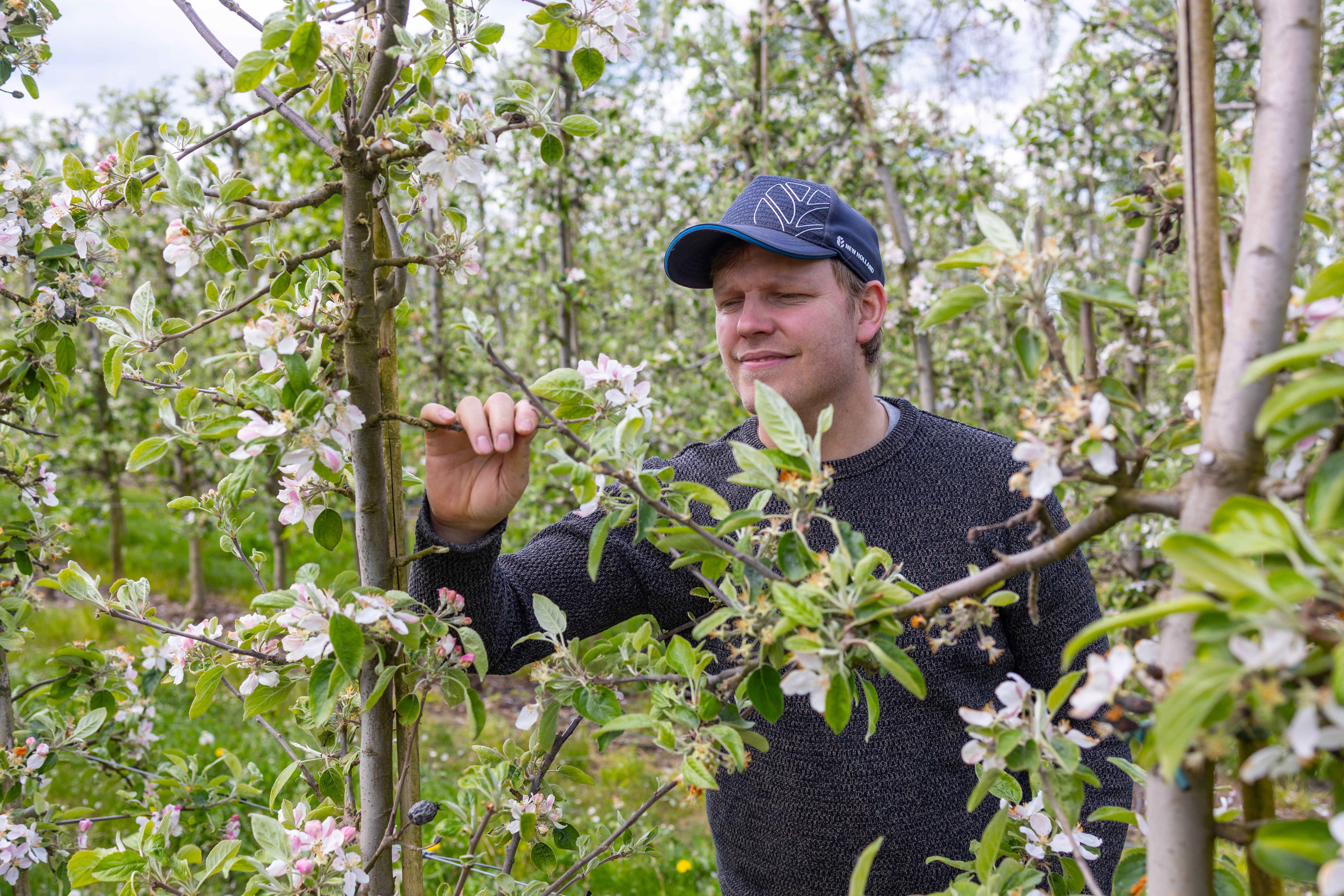 Jimmy Persson i äppelblomslunden 