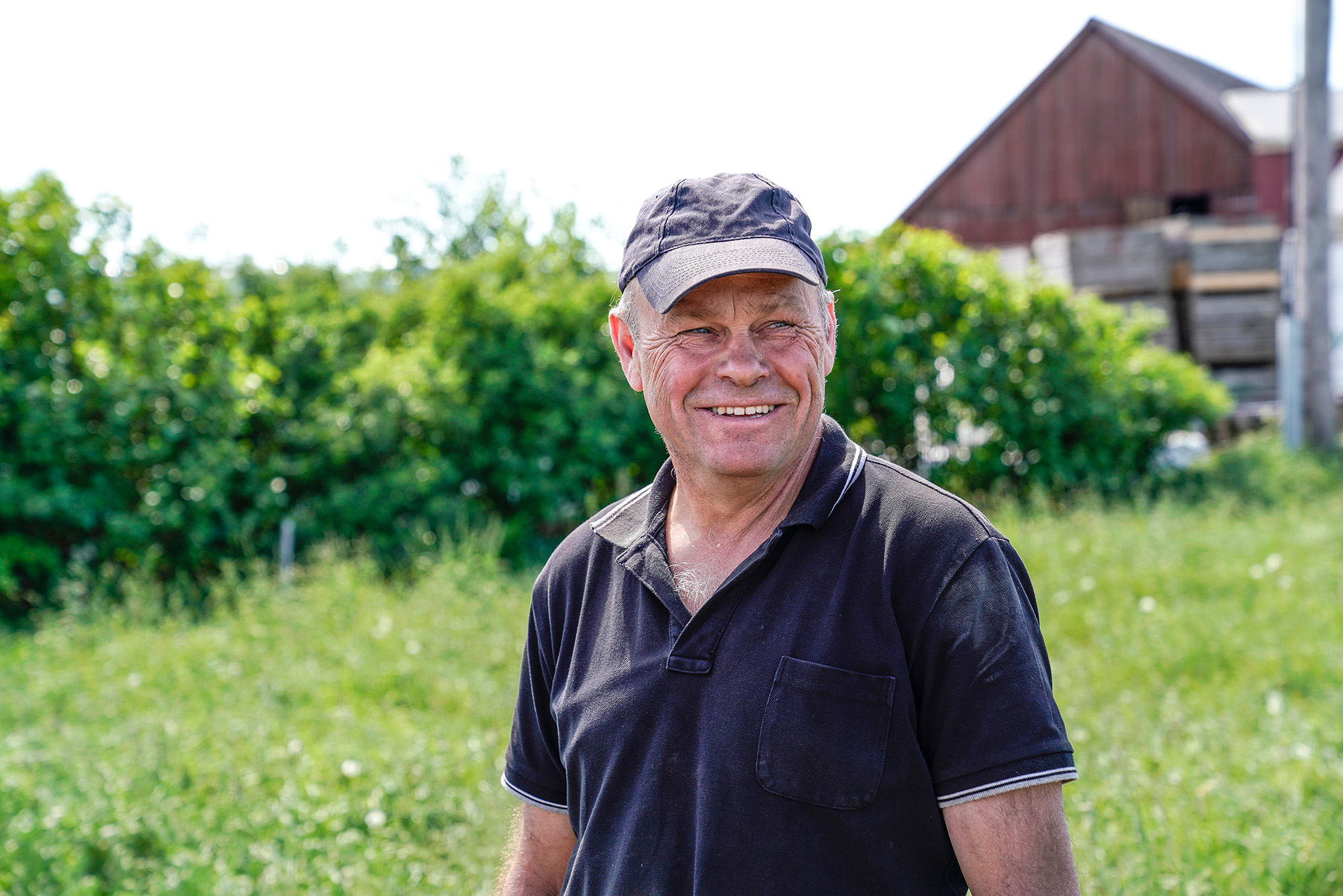 Odlaren Anders Ebbesson ute i odlingen
